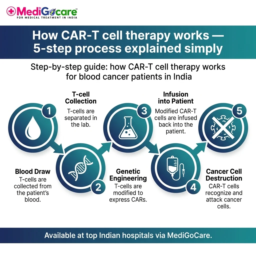 CAR-T Cell Therapy in India: The Breakthrough Blood Cancer Treatment Now Available at 70% Lower Cost 2 How CAR-T cell therapy works — 5-step process explained simply